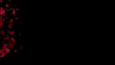 French Prof Outdoor Nudist Beach Risky Strangers Legs Open Fingering Dripping Pussy Public Voyeur Exposure