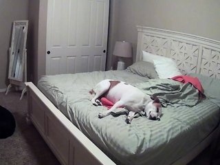 Hot amateur hidden cam